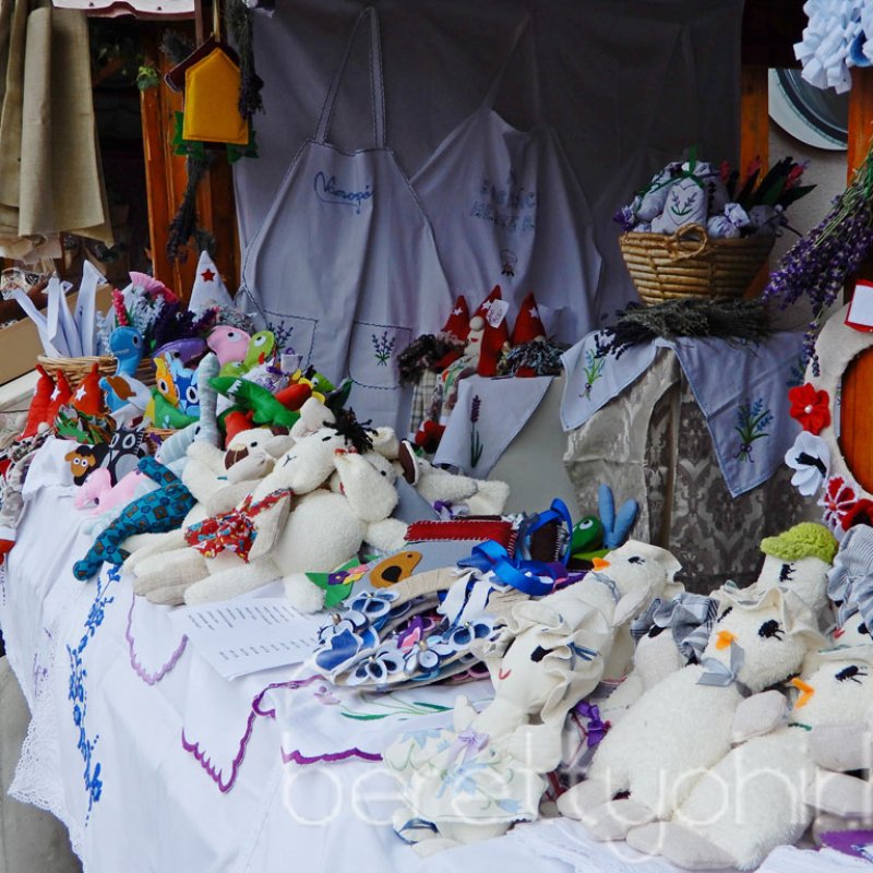 Helyi Értékek Startja 63